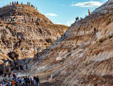 TK体育直播-关于Ming连续十场比赛得分超过惊险取胜，塞尔维亚队挑战极限！的信息